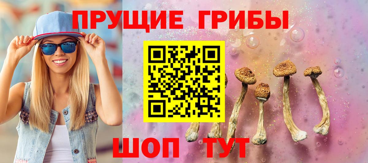 Галлюциногенные грибы мухоморы Коммунар